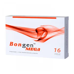 Bongen