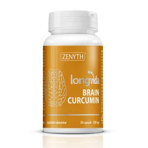 Brain