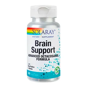 Brain