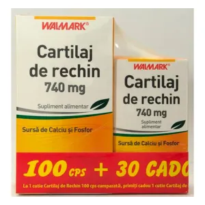 Cartilaj