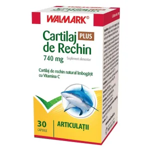 Cartilaj