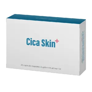 Cica