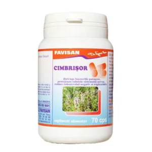 Cimbrisor,