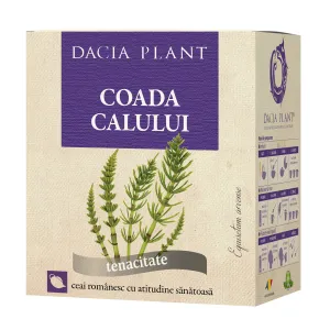 Coada
