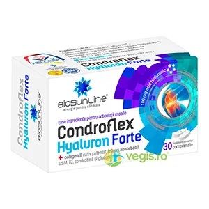 Condroflex