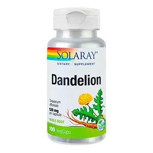 Dandelion
