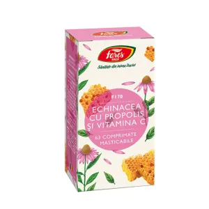 Echinacea