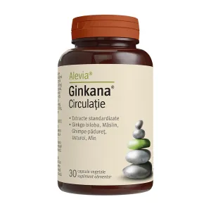 Ginkana
