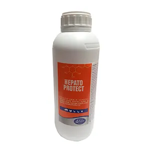 Hepato