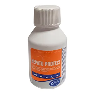 Hepato