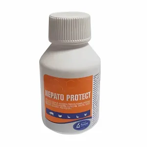 Hepato