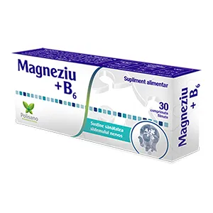 Magneziu