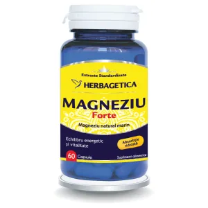 Magneziu