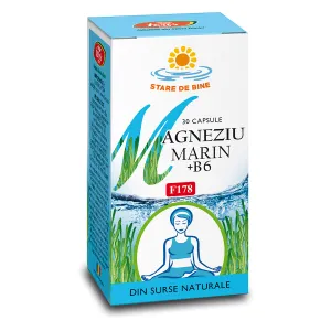 Magneziu