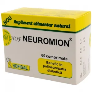 Neuromion,