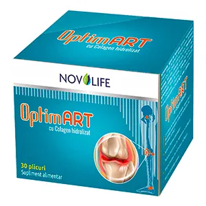 OptimArt