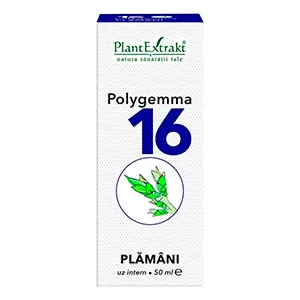 Polygemma