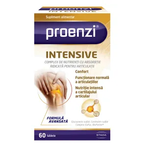 Proenzi