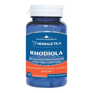 Rhodiola,