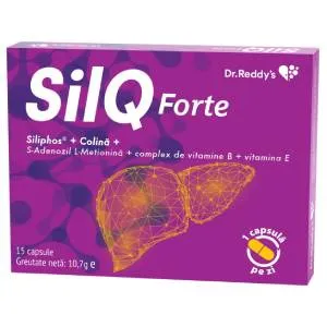 SilQ