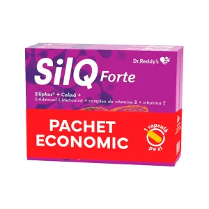 SilQ