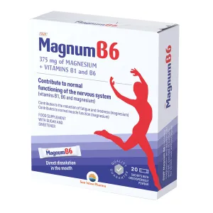 SWP Magnum B6 pulbere orodispersabila, 20 plicuri, Sun Wave Pharma