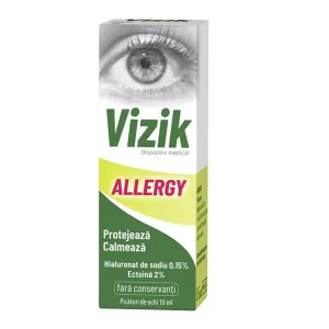 Vizik