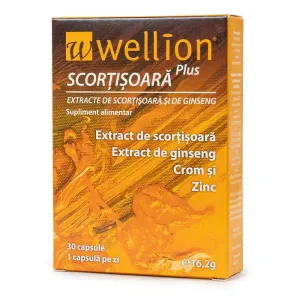 Wellion